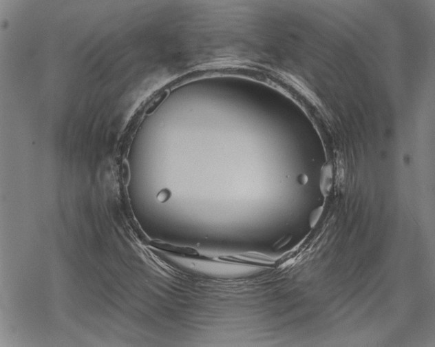 X0000069811356200605191035