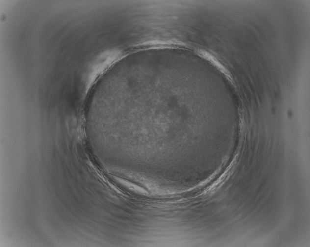 X0000069811357200605191035