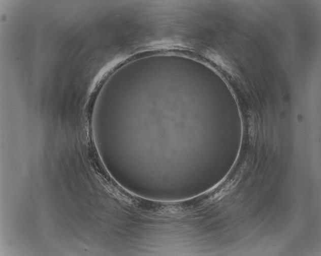 X0000069811358200605191035