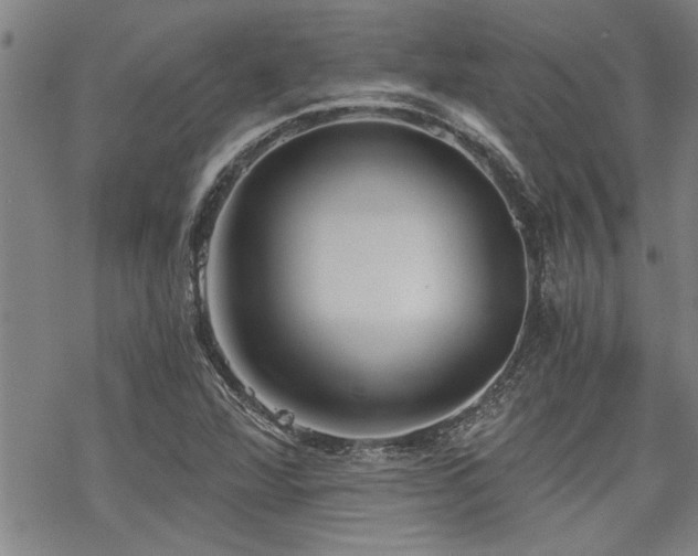 X0000069811360200605191035