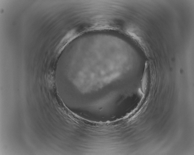 X0000069811361200605191035