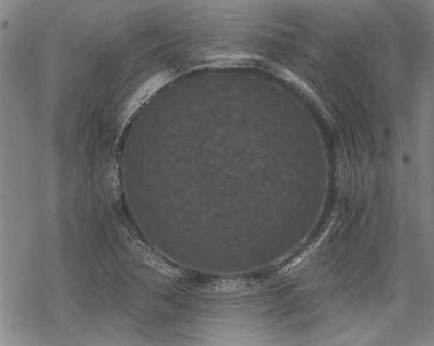 X0000069811362200605191035