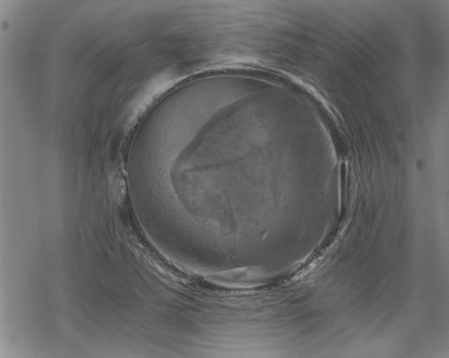 X0000069811363200605191035