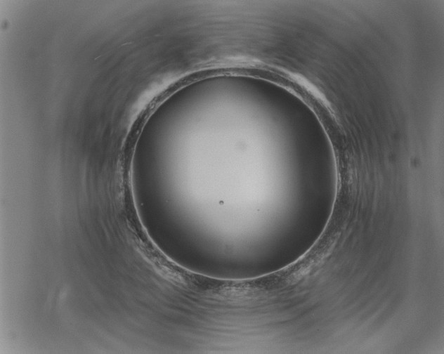 X0000069811364200605191035