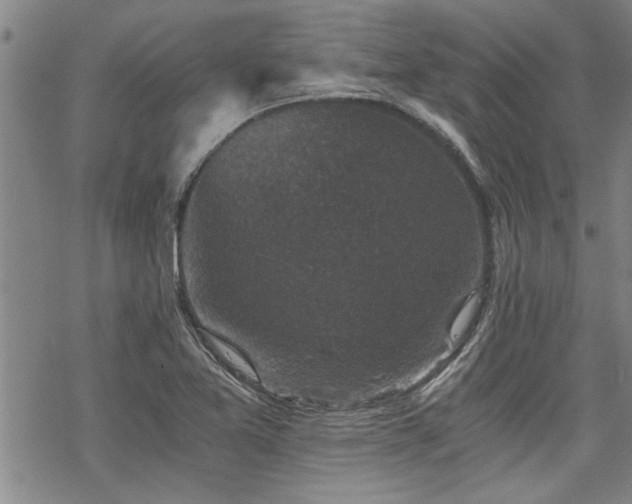 X0000069811365200605191035