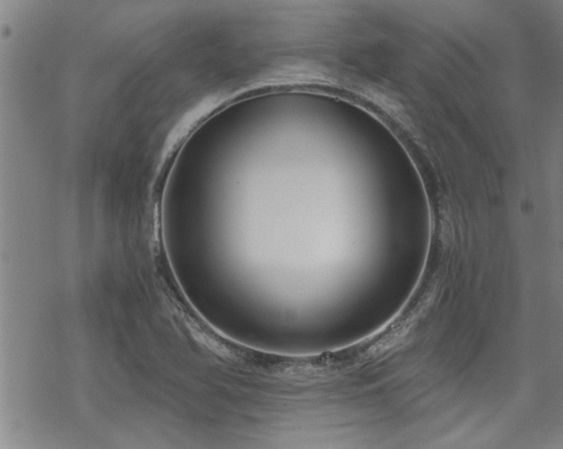 X0000069811366200605191035