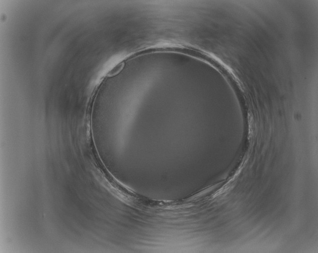 X0000069811367200605191035