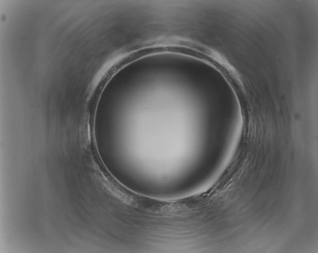 X0000069811368200605191035