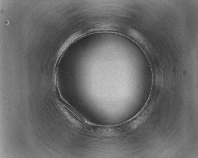 X0000069811370200605191035