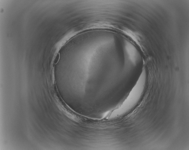 X0000069811371200605191035