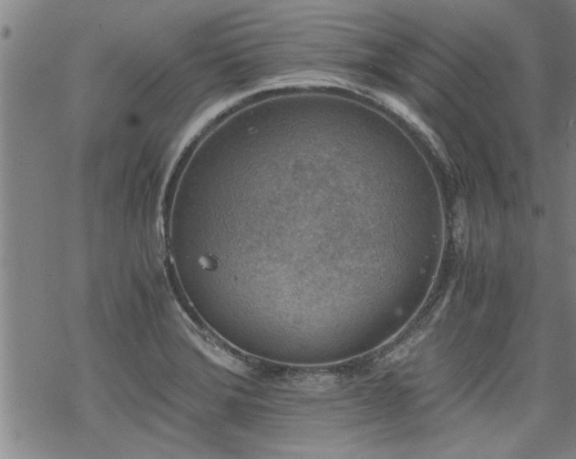 X0000069811372200605191035