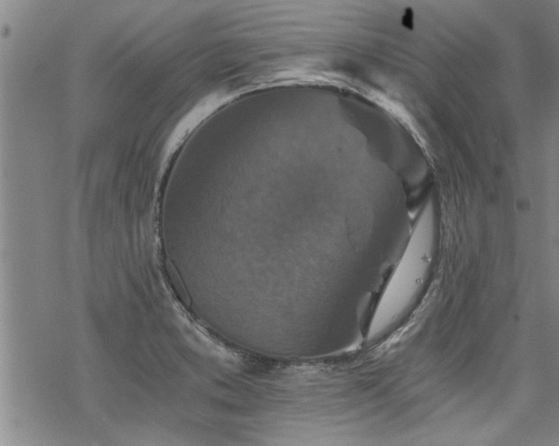 X0000069811373200605191035