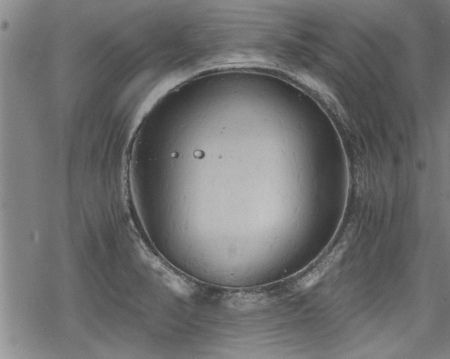 X0000069811374200605191035