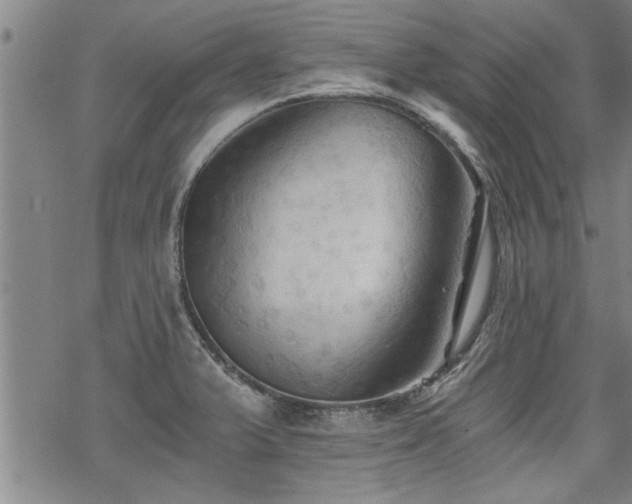 X0000069811375200605191035