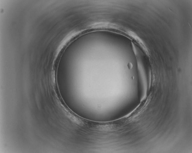 X0000069811376200605191035