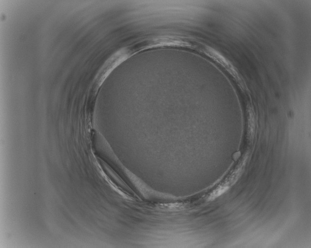 X0000069811377200605191035