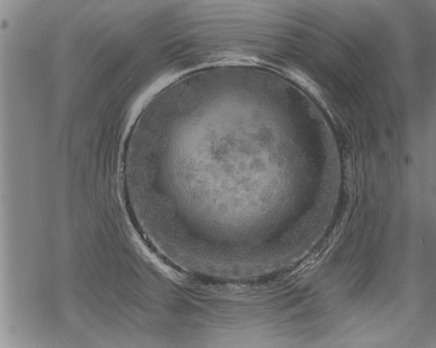 X0000069811379200605191035