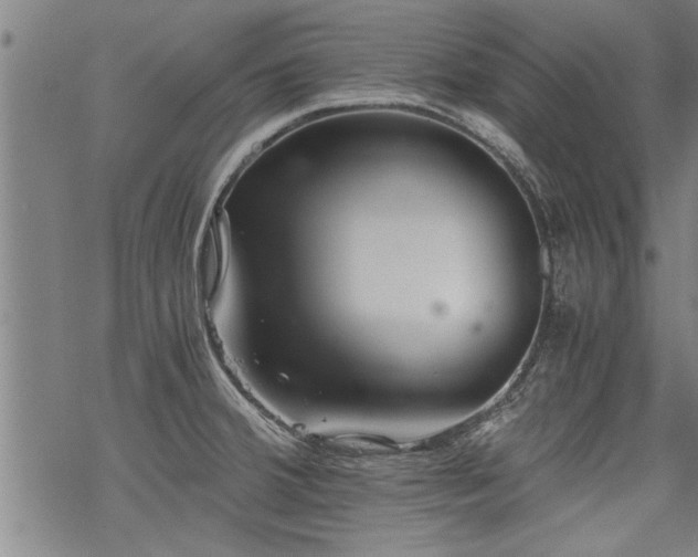 X0000069811380200605191035