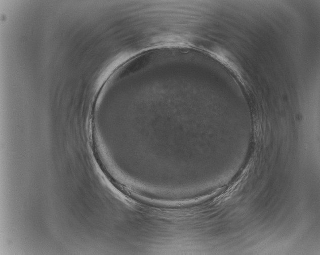 X0000069811383200605191035