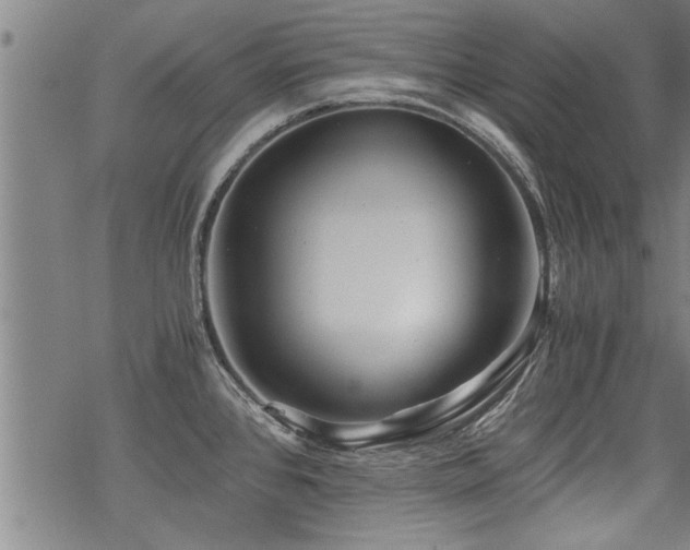 X0000069811384200605191035