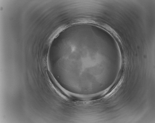 X0000069811385200605191035