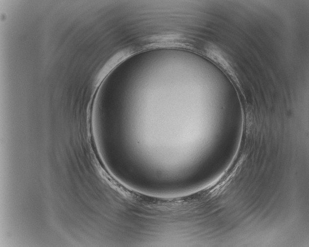 X0000069811386200605191034