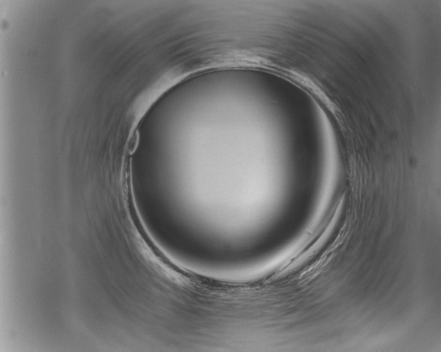 X0000069811387200605191034