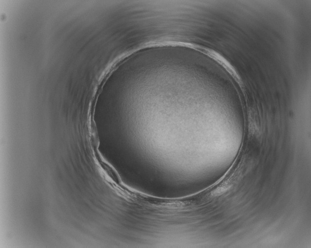 X0000069811388200605191034