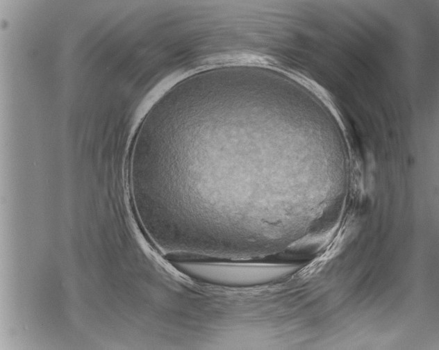 X0000069811389200605191034