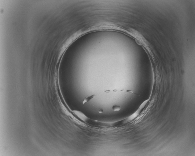 X0000069811390200605191034