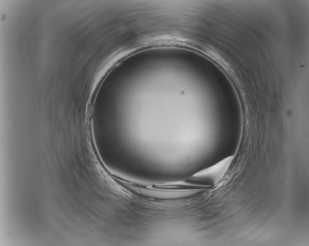 X0000069811392200605191034