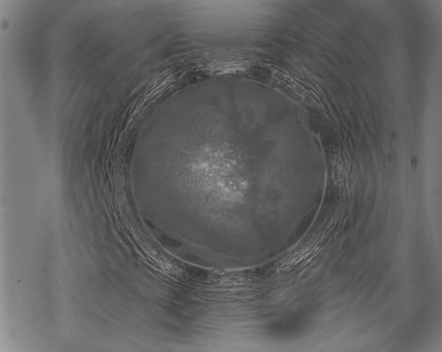 X0000069811393200605191034