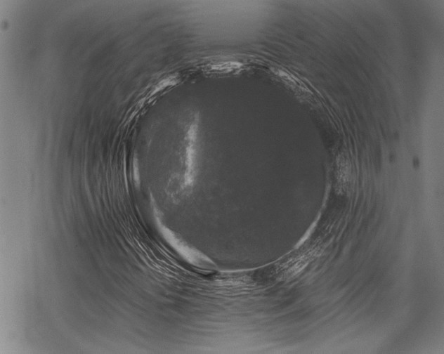 X0000069811394200605191034