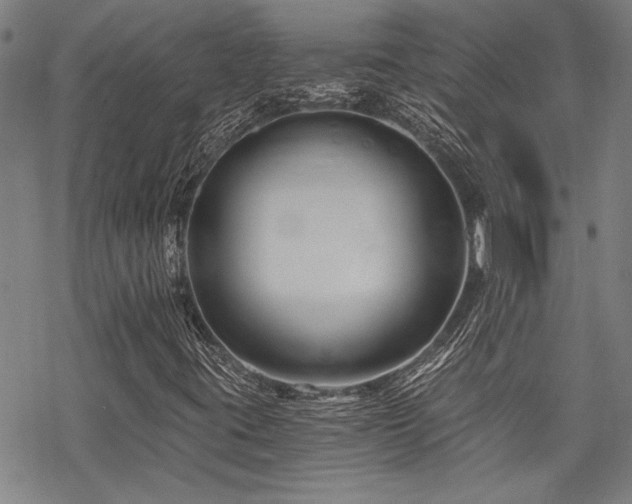 X0000069811395200605191034