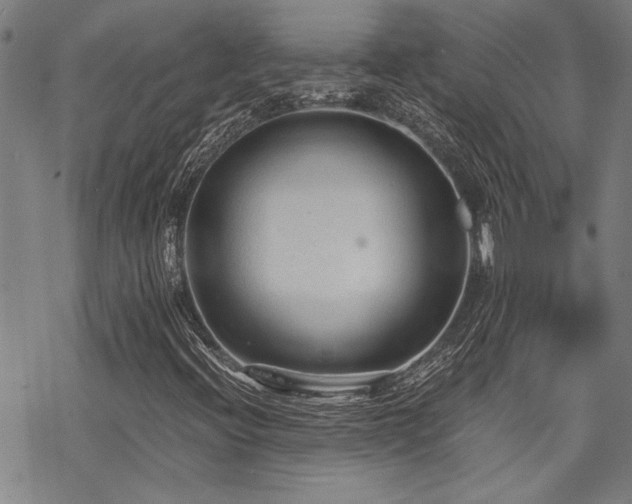 X0000069811396200605191034