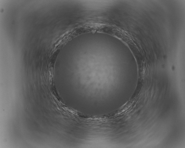 X0000069811397200605191034