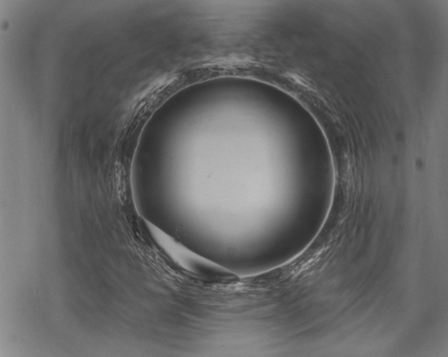 X0000069811398200605191034