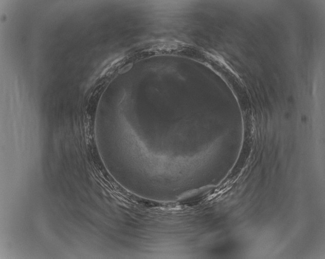 X0000069811399200605191034