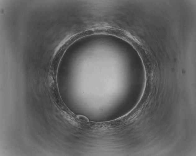 X0000069811400200605191034