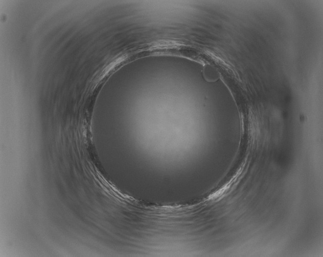 X0000069811401200605191034