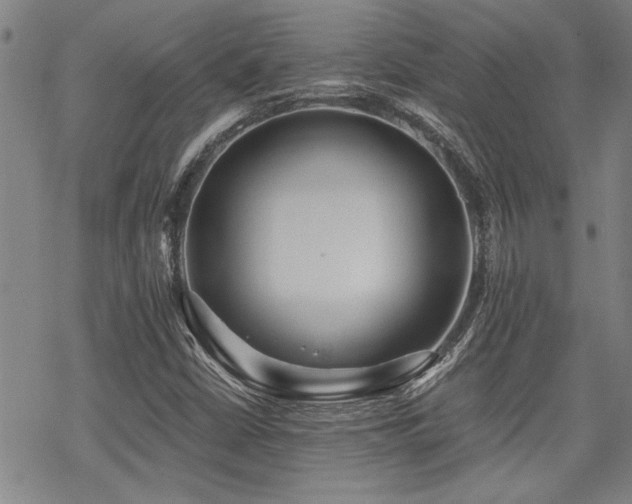 X0000069811402200605191034