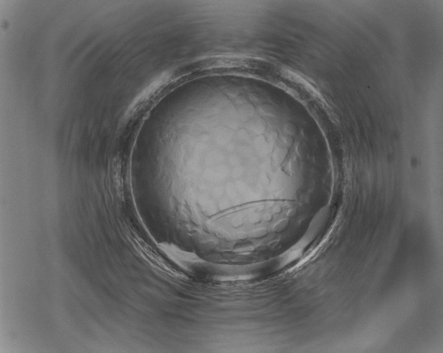 X0000069811403200605191034