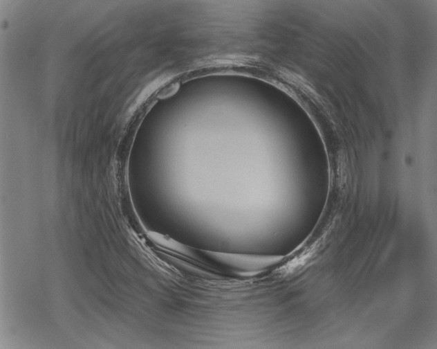 X0000069811404200605191034