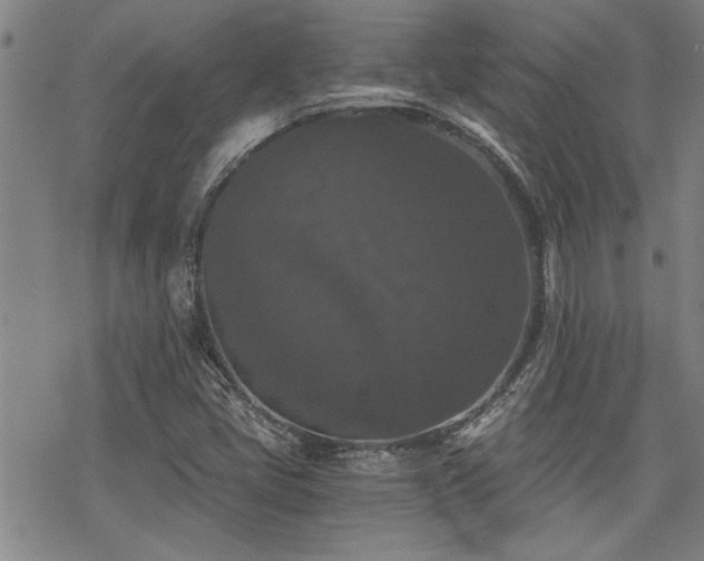 X0000069811405200605191034