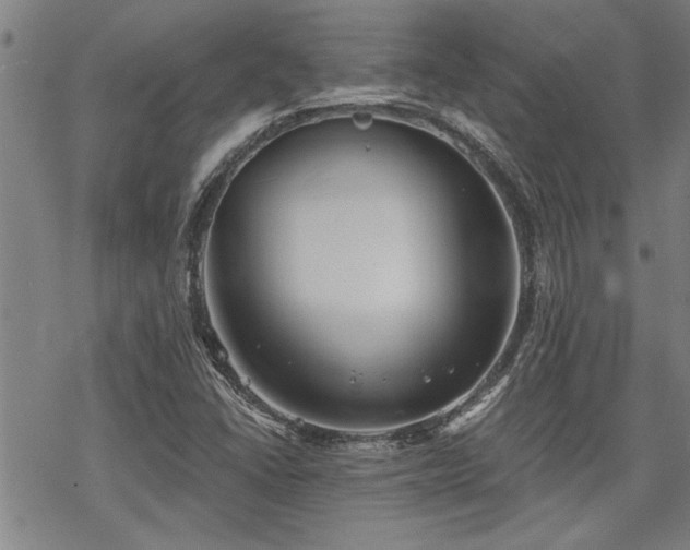 X0000069811406200605191034