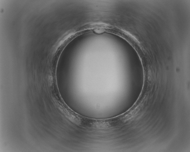 X0000069811407200605191034