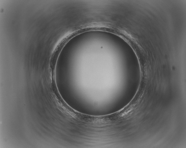 X0000069811408200605191034