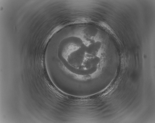 X0000069811409200605191034