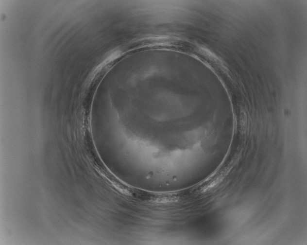 X0000069811411200605191034