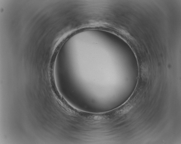 X0000069811412200605191034